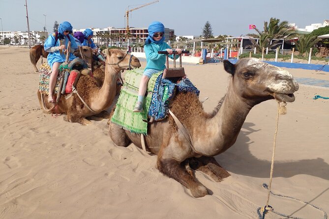 Essaouira: an Unforgettable 2 Hour Ride on a Camel - Unraveling the Positive Guest Experiences