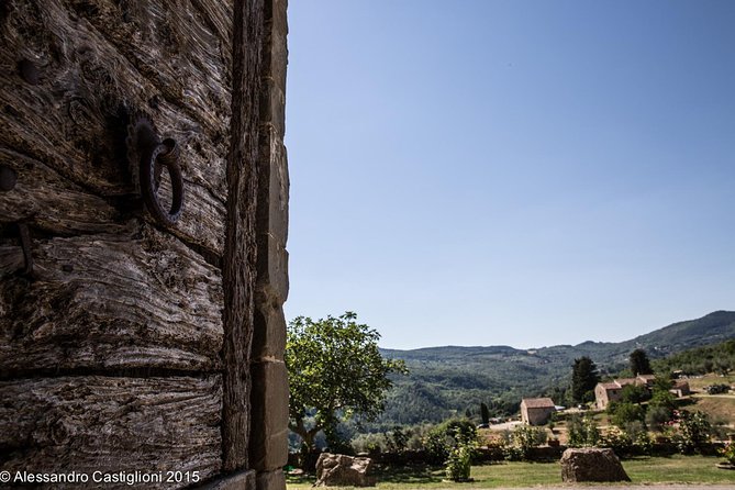 EXCLUSIVE - Wine Tasting Near Florence With Castle and Ancient Cellars Tour - COVID-19 Measures