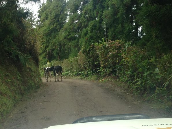 Explore With Our Guides the West Side & Sete Cidades on a Surprising 4x4 Tour - Personalized Small-Group Experience