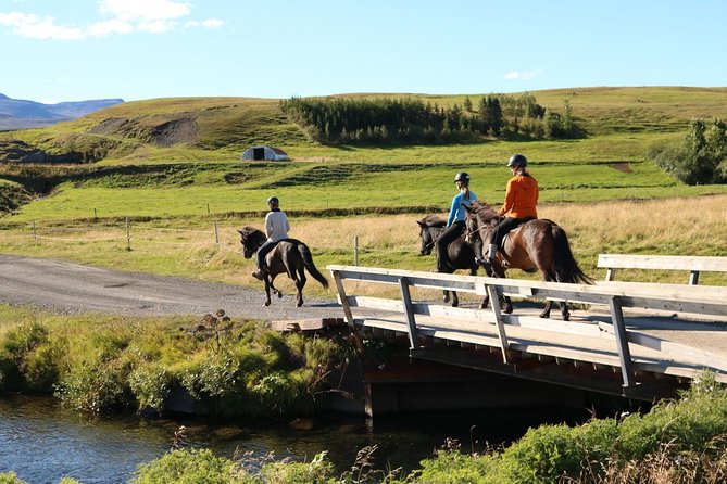 Family Friendly Horse Riding Tour in Skagafjörður - Cancellation Policy