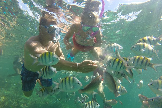 Family Friendly Snorkel Cruise and Seafood Lunch in Punta Cana - Key Tour Details