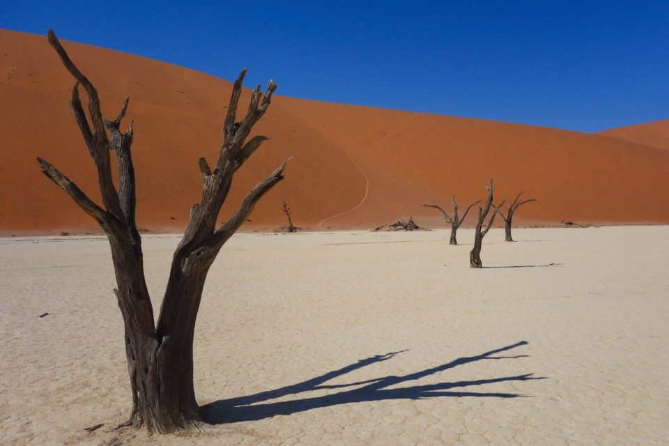 Family Joy in Fuerteventura Walking Tour - Recap