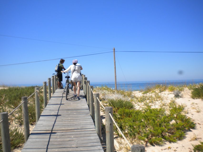 Faro Bike Tour Through the Beautiful Ria Formosa - Meeting Point and Requirements