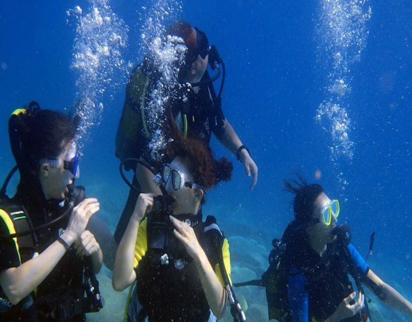 Fethiye: 2 Guided Scuba Dives With Lunch and Hotel Transfers - Hotel Transfers