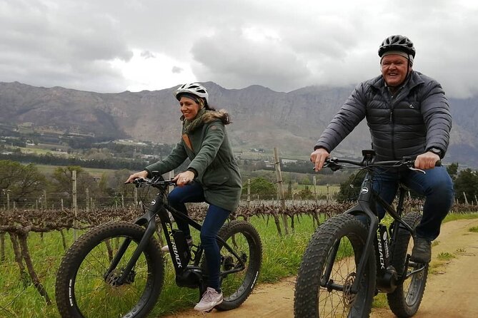 Franschhoek E-Bike Wine Tour (Half Day) - Absorbing the Scenery