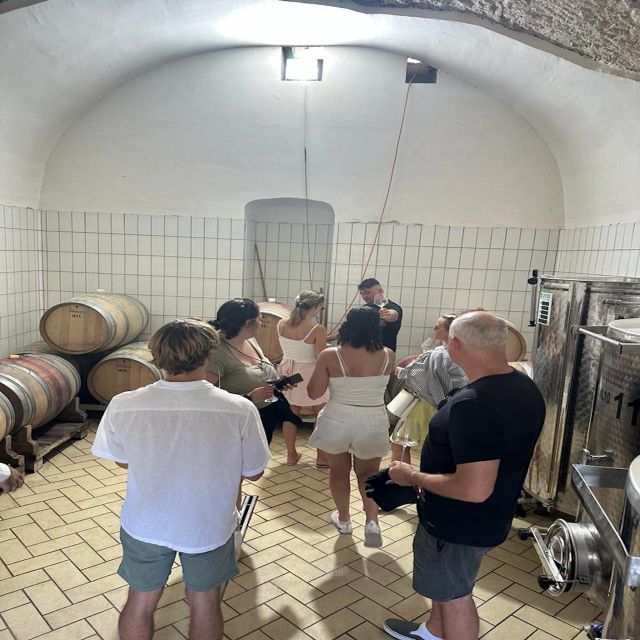 From Amalfi Coast: Private Luxury Tour Pompei ,Winery - Guided Tours and Free Time