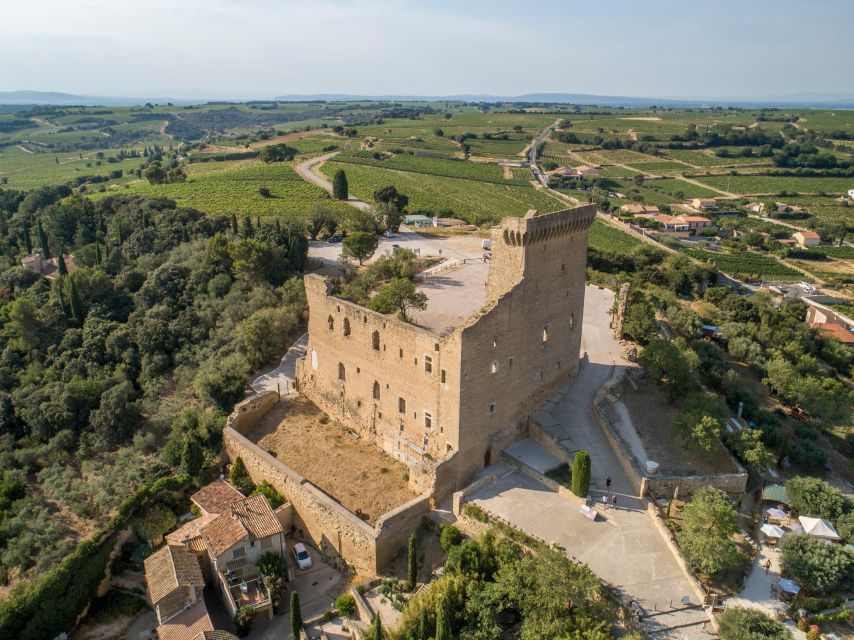 From Avignon: Morning Wine Tour to Châteauneuf Du Pape - Frequently Asked Questions