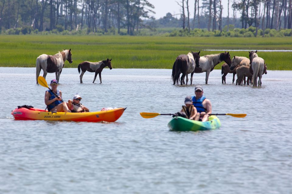 From Chincoteague: Guided Kayak Tour to Assateague Island - Recommended Items for Tour