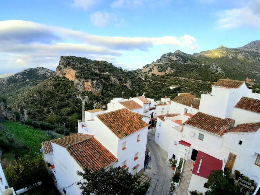 From Costa Del Sol: Casares Private Tour - Transportation and Accessibility