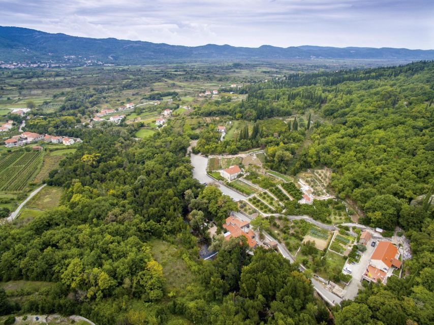 From Dubrovnik Oyster and Wine Tasting Tour in Ston Bay - Wine Tasting in Pelješac