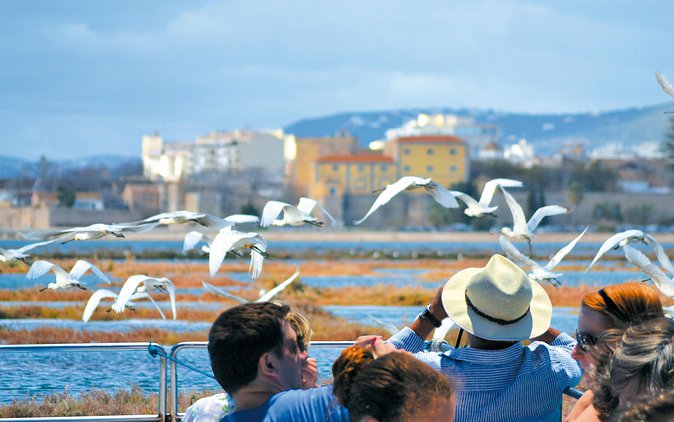 From Faro: Ria Formosa Eco Tour Guided by Marine Biologist - Tour Specifications and Restrictions