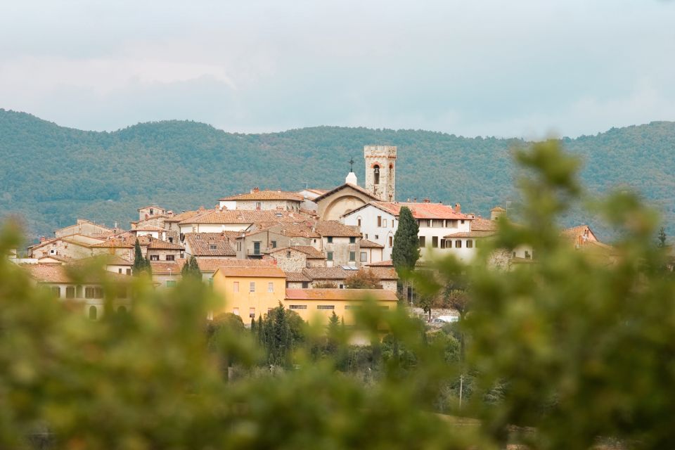 From Florence: Chianti Hills Wineries Tour With Tasting - Tuscany Discoveries