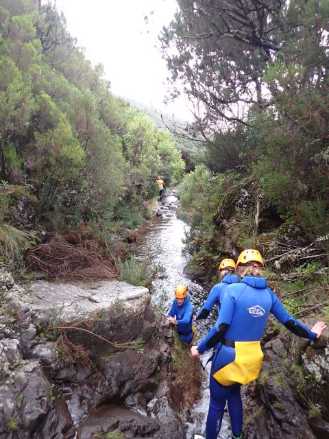 From Funchal: Madeira Island Canyoning for Beginners - Participant Requirements