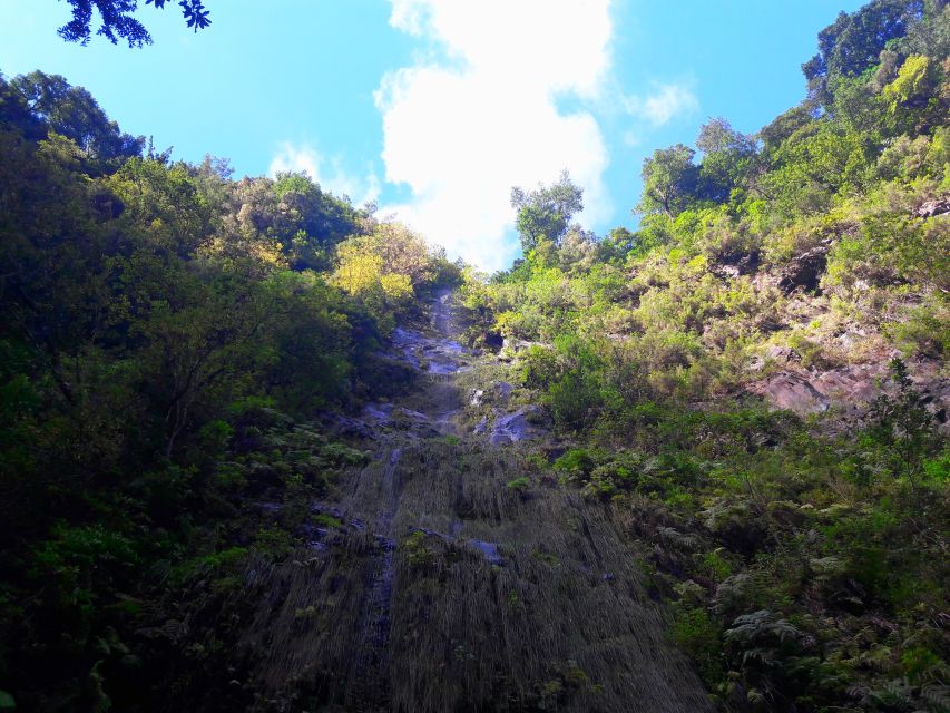 From Funchal: São Jorge Valleys Levada Walk - Pickup and Dropoff