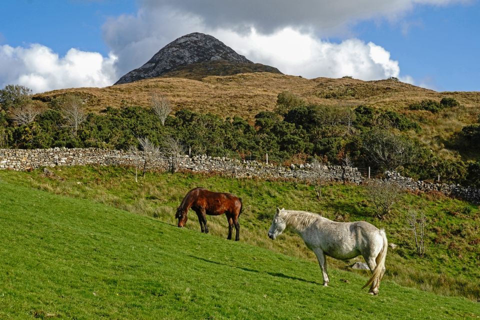 From Galway: Connemara National Park Full Day Tour - Reserve Now & Pay Later