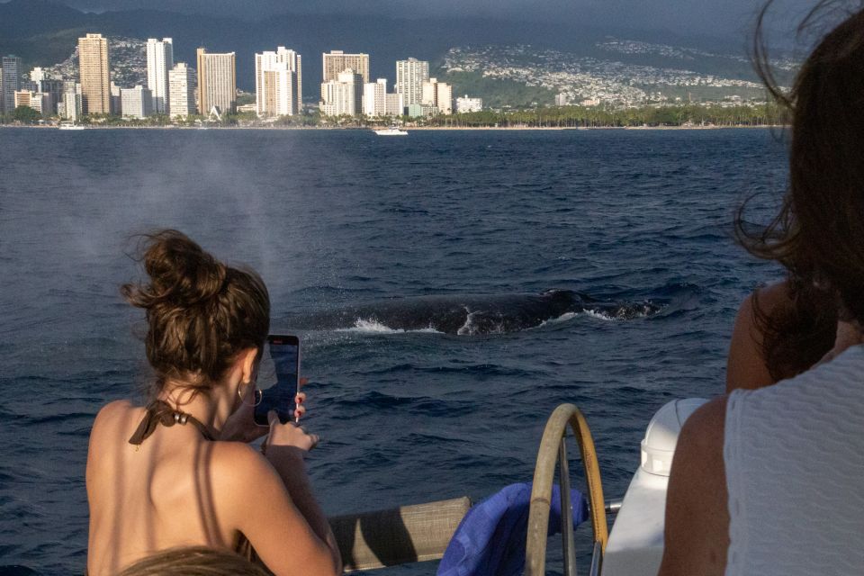 From Honolulu: Private Catamaran Cruise With Captain & Crew - Swimming and Snorkeling