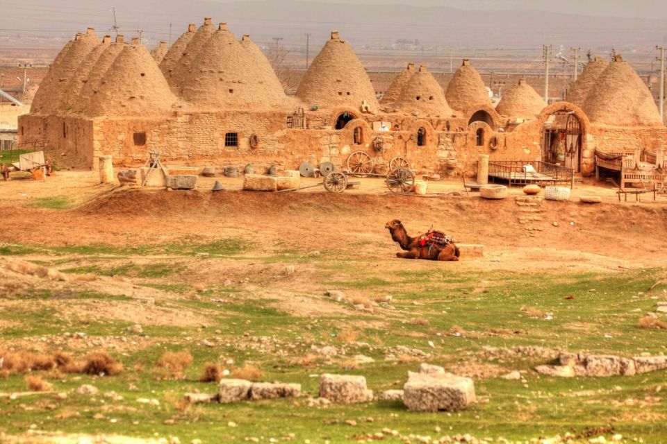 From Istanbul: Gobeklitepe Day Tour - Drinks Included