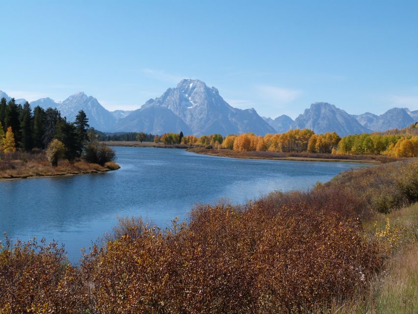 From Jackson: Half-Day Grand Teton National Park Tour - Diverse Wildlife Viewing