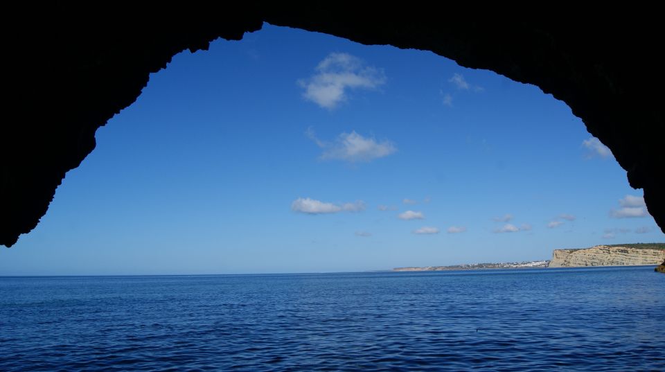 From Lagos: Benagil Sea Caves Speedboat Tour - Natural History and Sightings