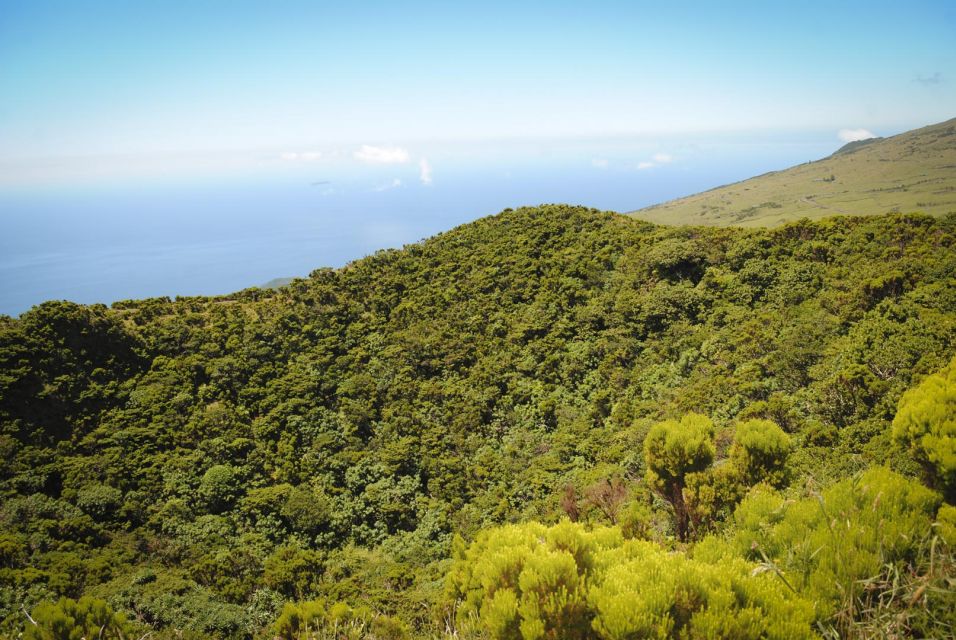 From Madalena: Pico Volcanoes and Lakes Guided Day Tour - Earthquake Simulation Experience