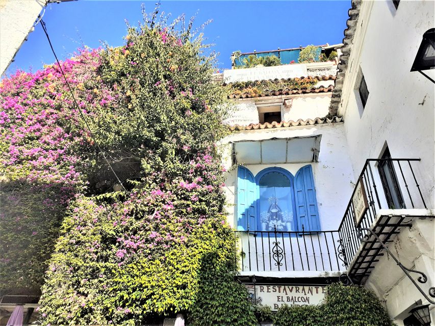 From Malaga: Private Tour in Marbella - Exploring Marbellas Old Town