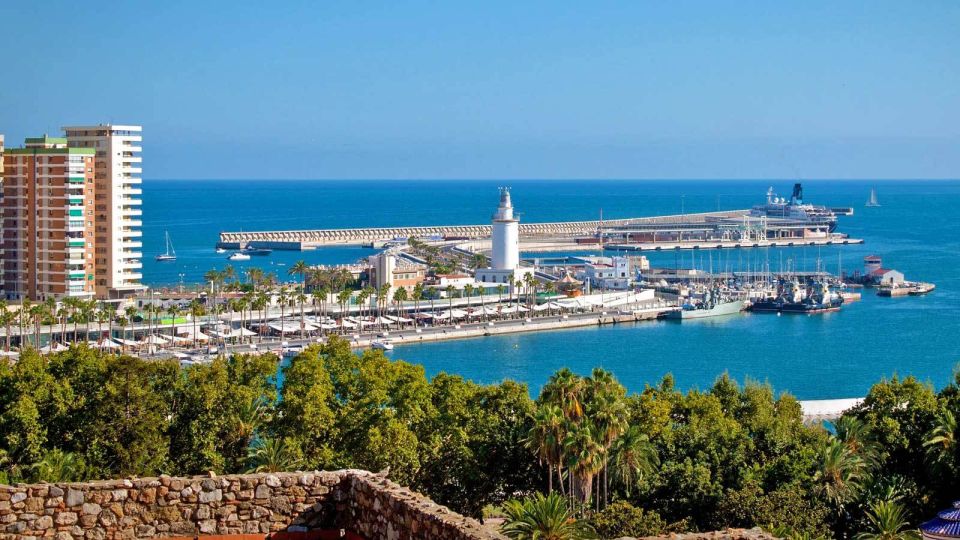 From Marbella: Malaga Private Tour - Tour Inclusions