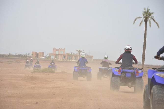 From Marrakech: Palm Grove Quad Bike and Camel Ride Tour - Tour Reviews and Recognition