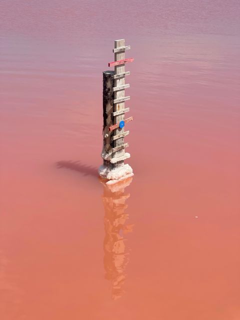 From Montpellier: Camargue and Salt Marshes Guided Tour - Carbonnière Tower Panorama