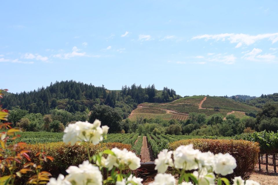 From Napa Valley: The Ultimate Napa & Sonoma Wine Tour - Overall Rating