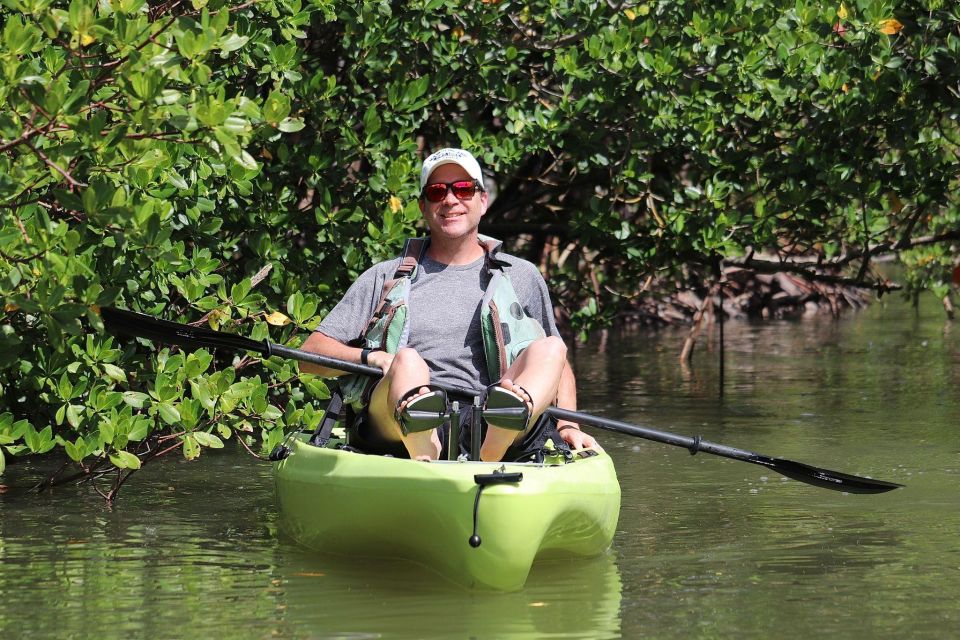 From Naples, FL: Marco Island Mangroves Kayak or Paddle Tour - Customer Feedback and Ratings