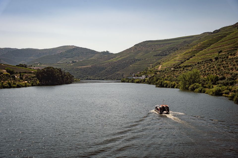 From Pinhão: Douro Valley Rabelo Boat Tour and Port Wine - Customer Feedback