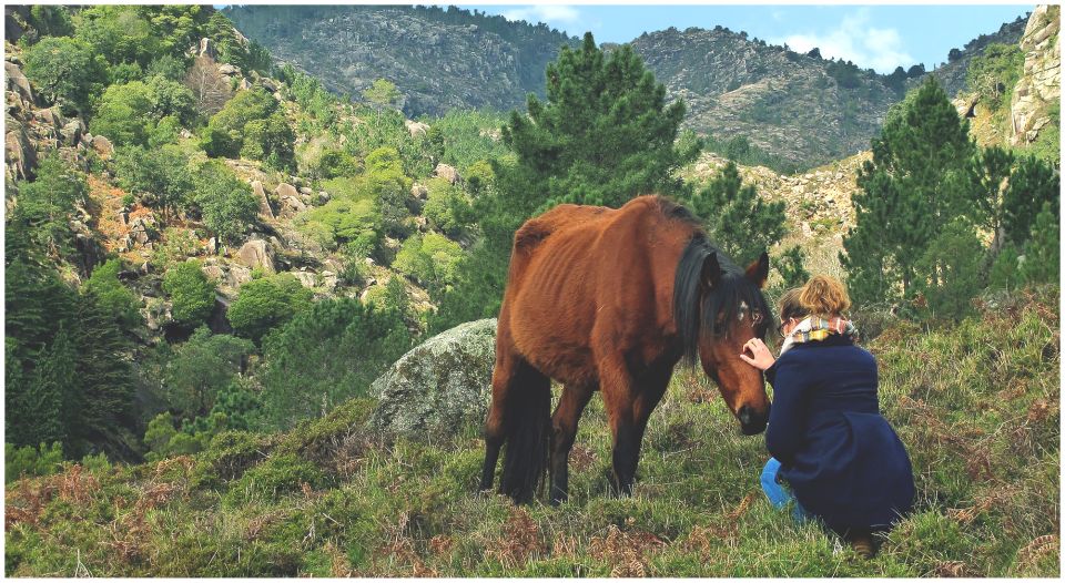 From Porto: Peneda-Gerês National Park Tour With Lunch - Environmental Tourism Care Project