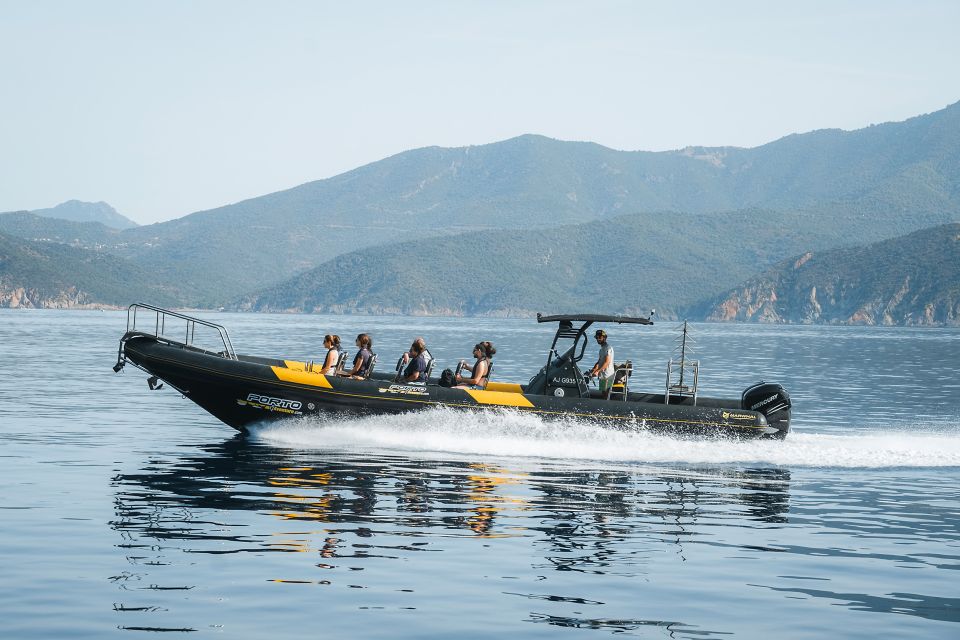 From Porto: Piana Creeks and Scandola Semi-Rigid Boat Tour - Guided Tour