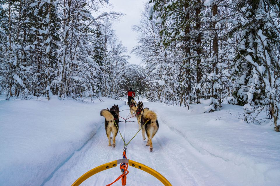 From Rovaniemi: Husky Safari and Salmon Ice Fishing - Frequently Asked Questions