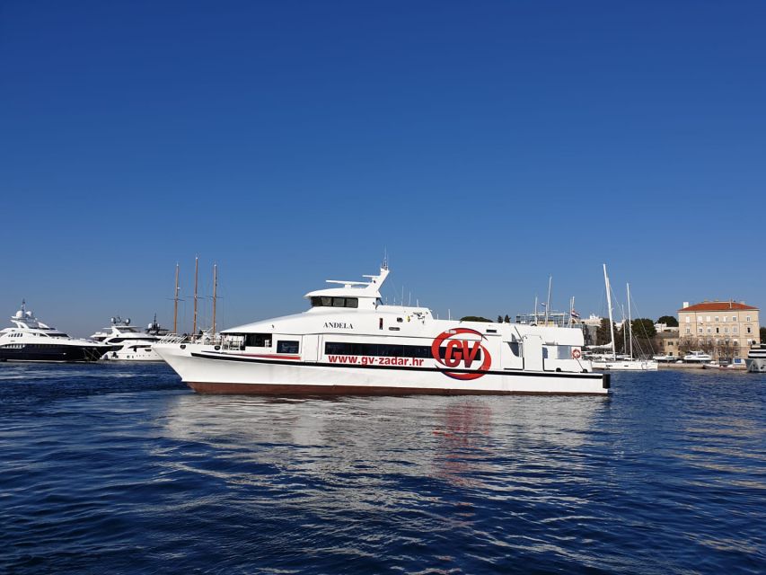 From Rovinj: Venice Boat Trip With Day or One-Way Option - Policy and Requirements