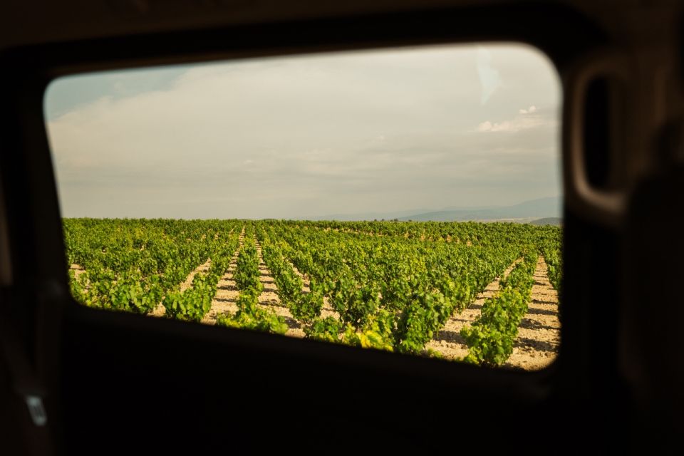 From San Sebastian: Rioja Uncorked - Private Wineries Trip - Recap