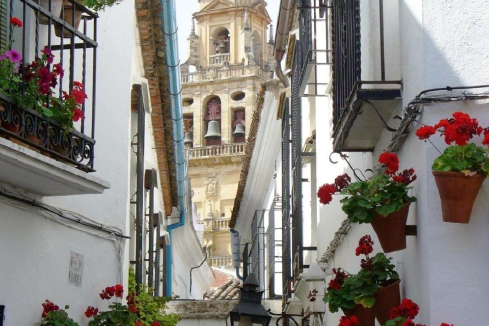 From Seville: Cordoba Full-Day Private Tour - Exploring the Jewish Quarter