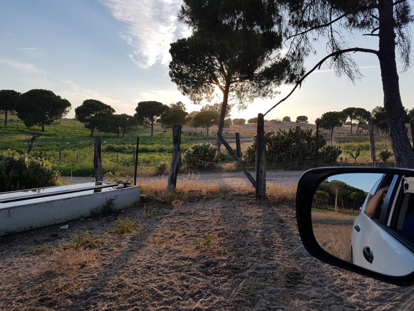 From Seville: Half-Day Bull Breeding Farm Tour - Visiting the Bullfighting Stables