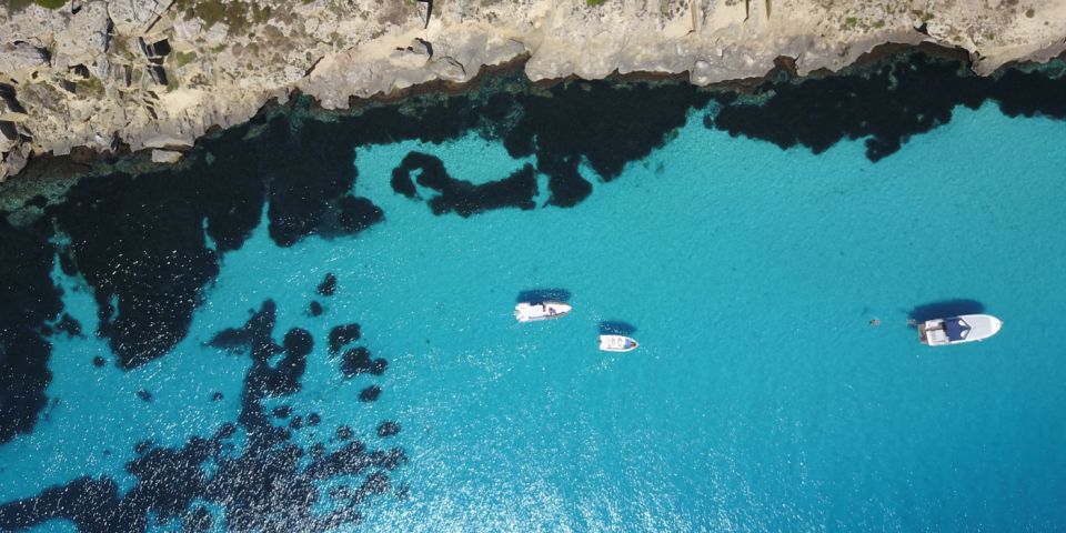 From Trapani: Favignana & Levanzo Islands Day Cruise - Small Group Experience