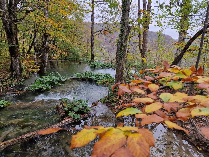 From Zadar: Plitvice Lakes Day Tour With Boat Ride - Duration and Tour Details