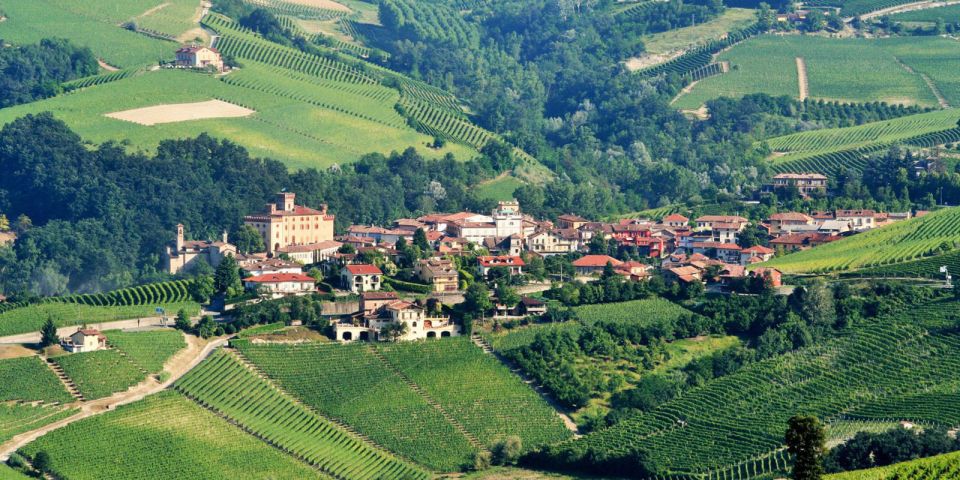 Full-Day Barbaresco Wine Tour With Truffle Hunting and Lunch - Picturesque Landscape Views