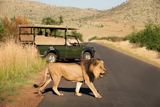 Full Day Pilanesberg Experience in Open Vehicle - Additional Information