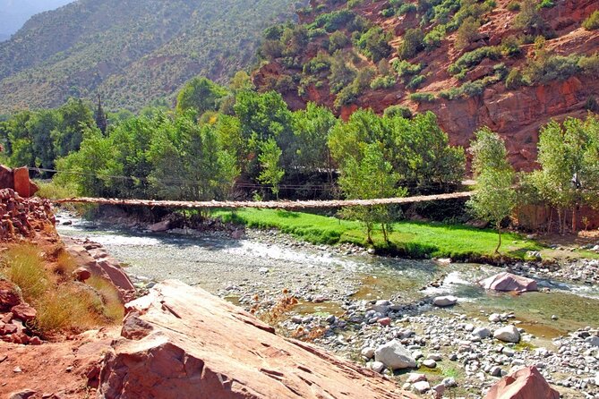 Full Day Private Berbere Experience in High Atlas - Argan Oil Cooperative