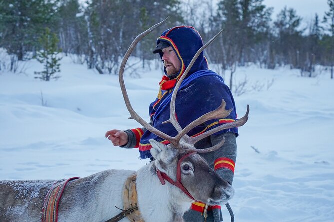 Full-Day Reindeer Tour With Pickup in Kiruna - Operator Information