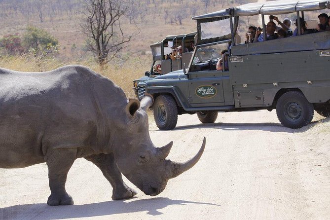 Full Day Safari in the Kruger National Park From Hazyview - Organization and Experience