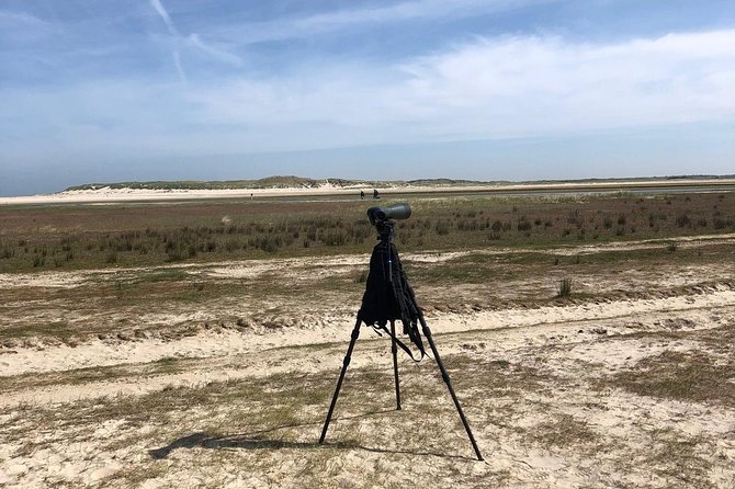 Full Day Tour to Texel - Friesian Islands - From Amsterdam - Highlights of the Experience