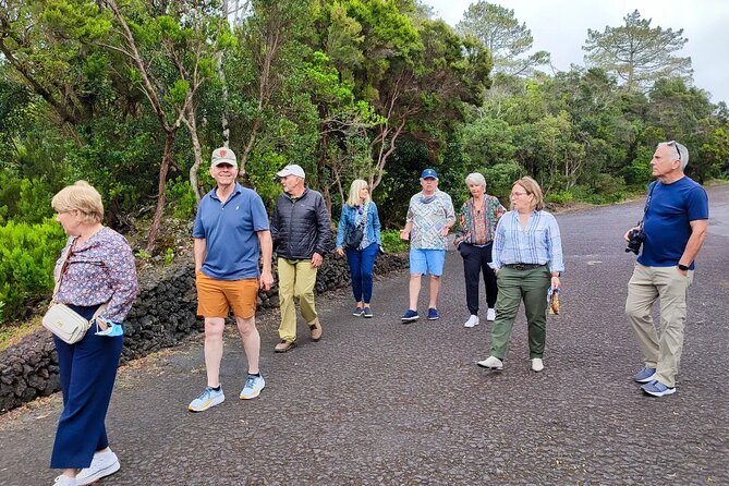 Full Day Tour With Lunch Included - Faial Island - Exploring Caldeira Do Faial