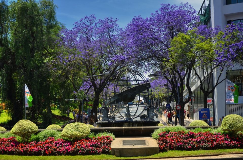 Funchal: City Tour in a Tukxi - Inclusions and Exclusions