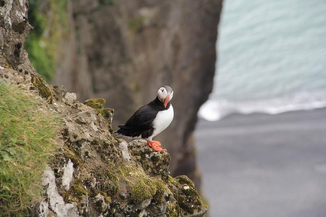 Glacier Lagoon, Diamond Beach, Black Sand Beaches and Waterfalls - Enchanting Waterfall Sights