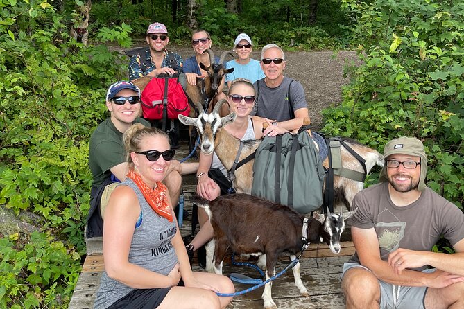 Goat Hiking, Beaver Dam Visit and Picnic in Quebec Forest - Enjoying the Picnic Dinner